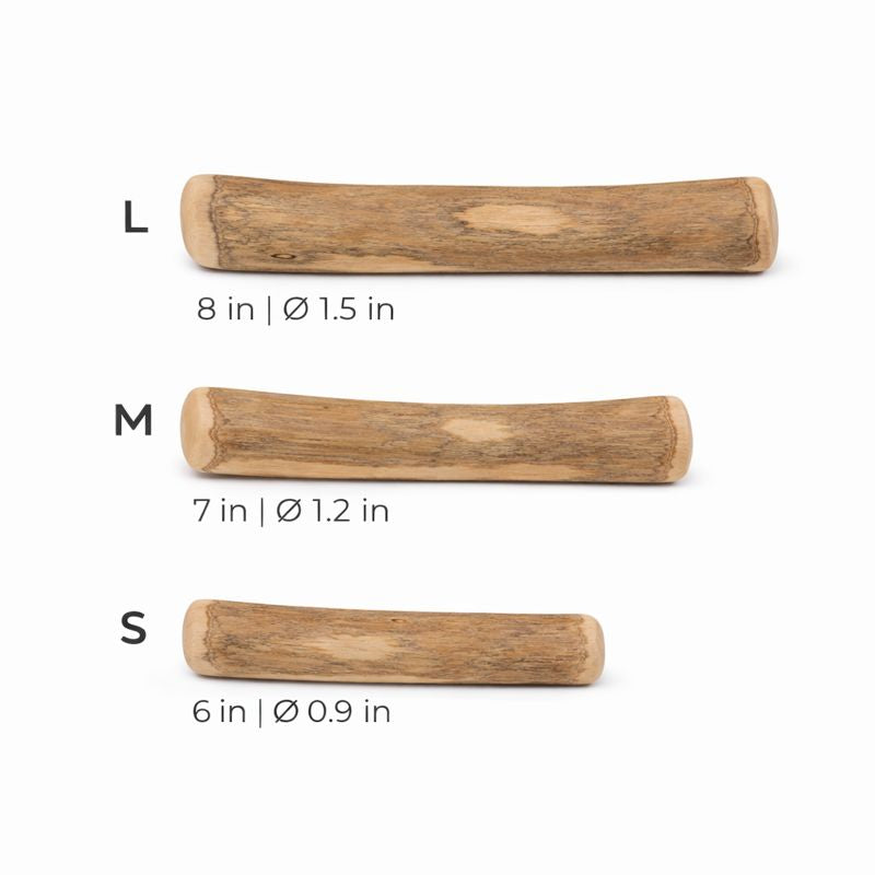 Coffee wood chew stick for dogs in small, medium, and large sizes - zero calorie dog treat